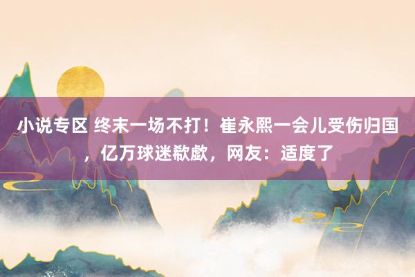 小说专区 终末一场不打！崔永熙一会儿受伤归国，亿万球迷欷歔，网友：适度了