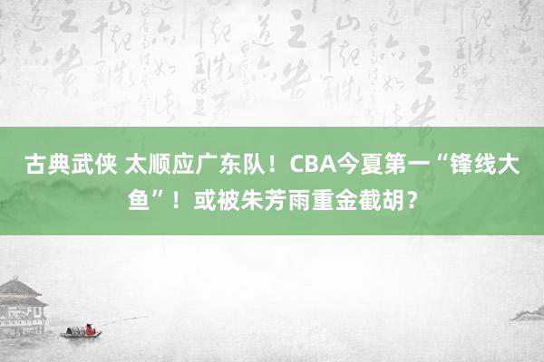 古典武侠 太顺应广东队！CBA今夏第一“锋线大鱼”！或被朱芳雨重金截胡？