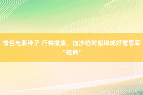 情色电影种子 行将撤废，加沙临时船埠成好意思军“轻侮”