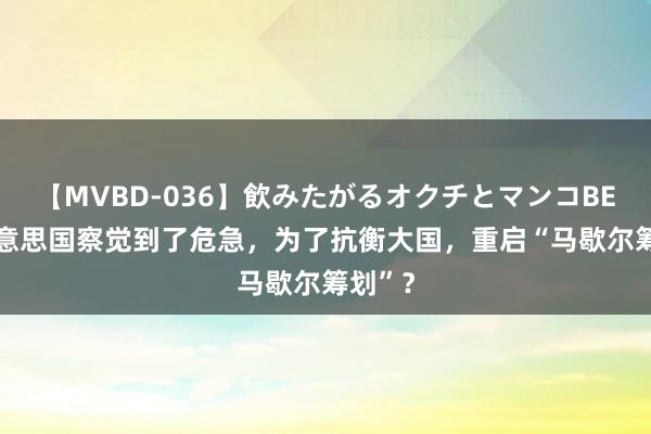 【MVBD-036】飲みたがるオクチとマンコBEST 好意思国察觉到了危急，为了抗衡大国，重启“马歇尔筹划”？