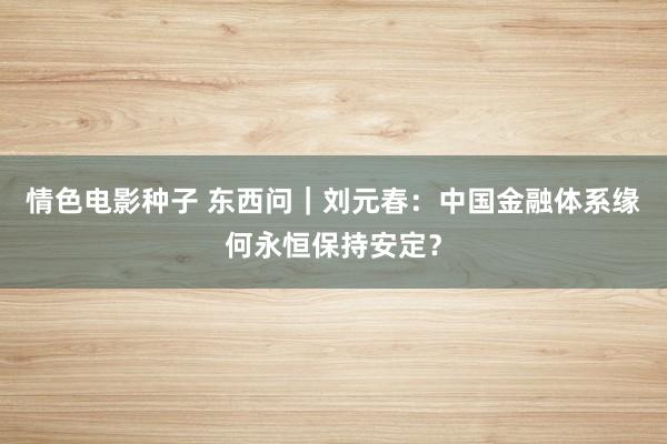 情色电影种子 东西问｜刘元春：中国金融体系缘何永恒保持安定？