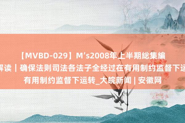 【MVBD-029】M’s2008年上半期総集編 二十届三中全会决定解读｜确保法则司法各法子全经过在有用制约监督下运转_大皖新闻 | 安徽网