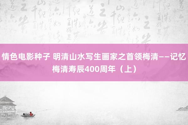 情色电影种子 明清山水写生画家之首领梅清——记忆梅清寿辰400周年（上）