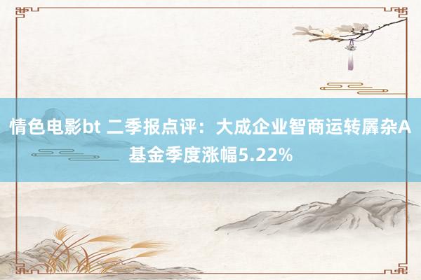 情色电影bt 二季报点评：大成企业智商运转羼杂A基金季度涨幅5.22%