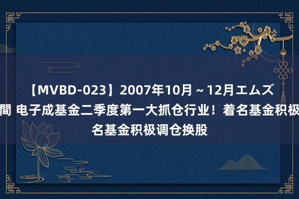 【MVBD-023】2007年10月～12月エムズBEST4時間 电子成基金二季度第一大抓仓行业！着名基金积极调仓换股