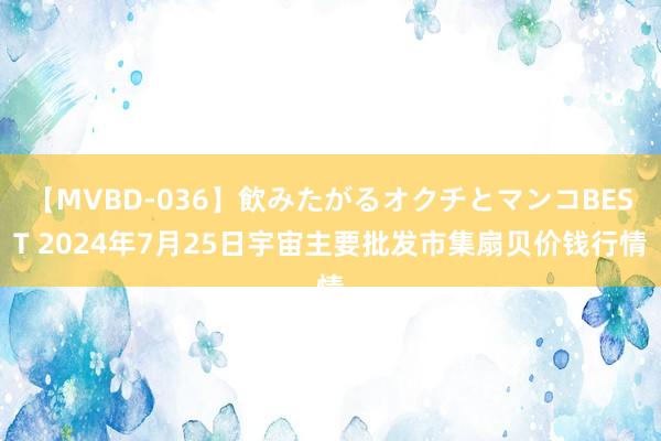 【MVBD-036】飲みたがるオクチとマンコBEST 2024年7月25日宇宙主要批发市集扇贝价钱行情