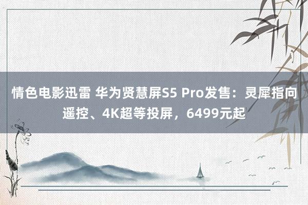 情色电影迅雷 华为贤慧屏S5 Pro发售：灵犀指向遥控、4K超等投屏，6499元起