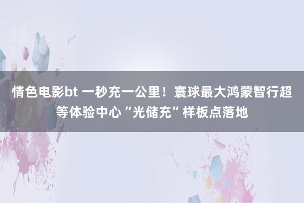 情色电影bt 一秒充一公里！寰球最大鸿蒙智行超等体验中心“光储充”样板点落地