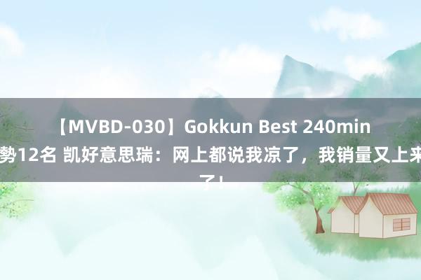 【MVBD-030】Gokkun Best 240min. 総勢12名 凯好意思瑞：网上都说我凉了，我销量又上来了！