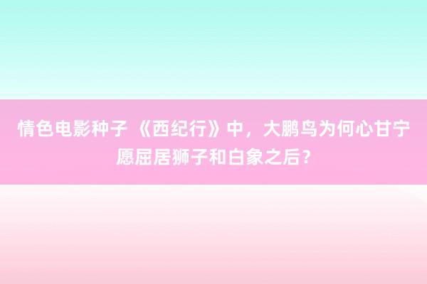 情色电影种子 《西纪行》中，大鹏鸟为何心甘宁愿屈居狮子和白象之后？