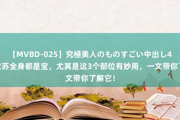 【MVBD-025】究極美人のものすごい中出し4時間 紫苏全身都是宝，尤其是这3个部位有妙用，一文带你了解它！