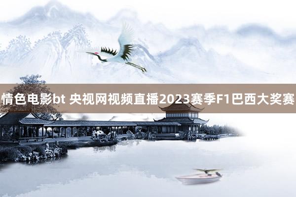 情色电影bt 央视网视频直播2023赛季F1巴西大奖赛