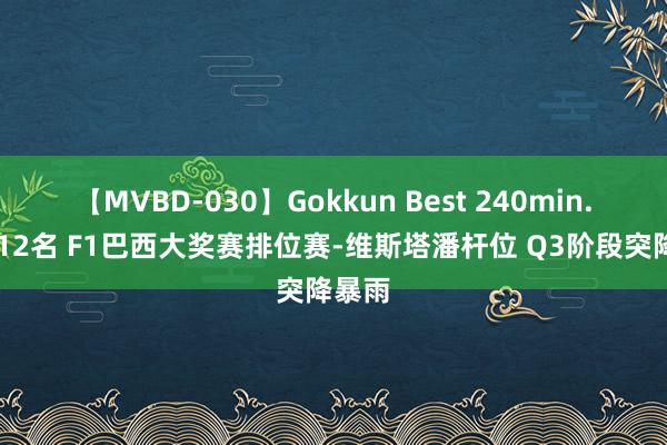 【MVBD-030】Gokkun Best 240min. 総勢12名 F1巴西大奖赛排位赛-维斯塔潘杆位 Q3阶段突降暴雨