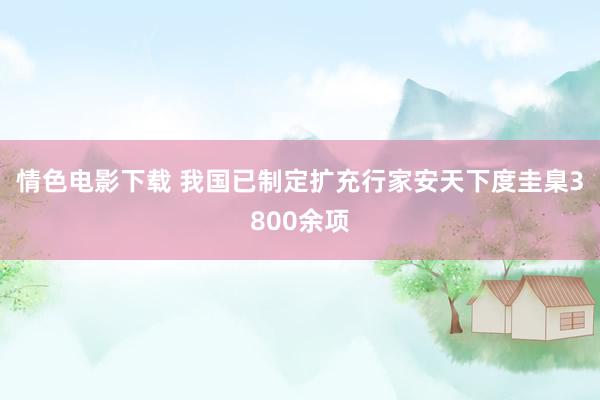 情色电影下载 我国已制定扩充行家安天下度圭臬3800余项