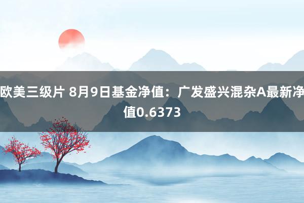 欧美三级片 8月9日基金净值：广发盛兴混杂A最新净值0.6373