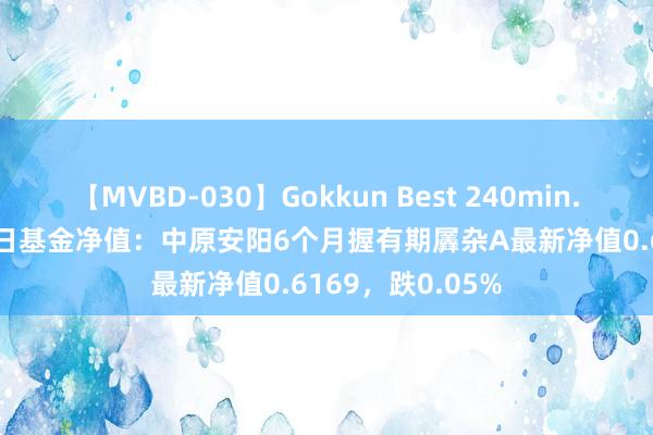 【MVBD-030】Gokkun Best 240min. 総勢12名 8月9日基金净值：中原安阳6个月握有期羼杂A最新净值0.6169，跌0.05%