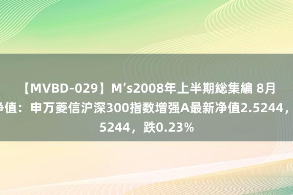 【MVBD-029】M’s2008年上半期総集編 8月9日基金净值：申万菱信沪深300指数增强A最新净值2.5244，跌0.23%