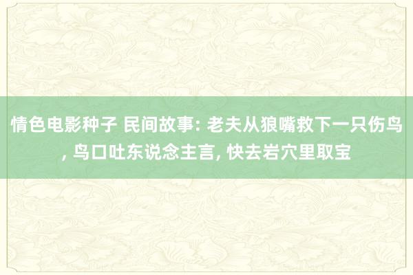 情色电影种子 民间故事: 老夫从狼嘴救下一只伤鸟， 鸟口吐东说念主言， 快去岩穴里取宝