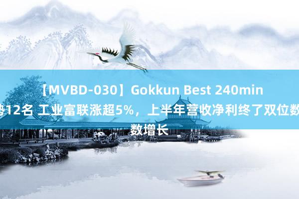 【MVBD-030】Gokkun Best 240min. 総勢12名 工业富联涨超5%，上半年营收净利终了双位数增长