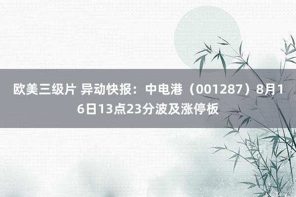 欧美三级片 异动快报：中电港（001287）8月16日13点23分波及涨停板