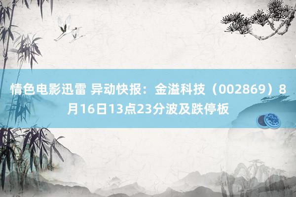 情色电影迅雷 异动快报：金溢科技（002869）8月16日13点23分波及跌停板