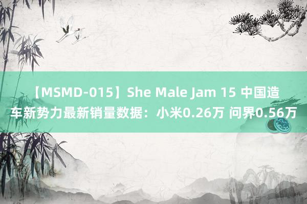 【MSMD-015】She Male Jam 15 中国造车新势力最新销量数据：小米0.26万 问界0.56万