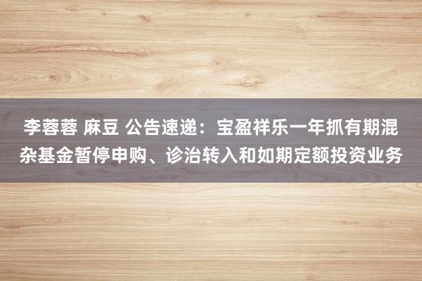 李蓉蓉 麻豆 公告速递：宝盈祥乐一年抓有期混杂基金暂停申购、诊治转入和如期定额投资业务