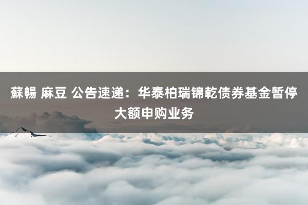 蘇暢 麻豆 公告速递：华泰柏瑞锦乾债券基金暂停大额申购业务