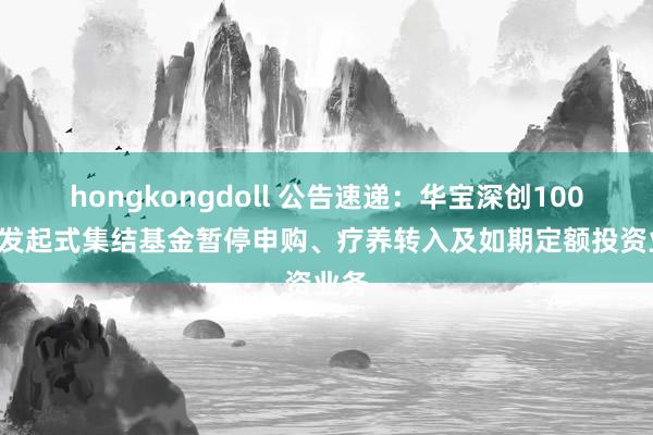 hongkongdoll 公告速递：华宝深创100ETF发起式集结基金暂停申购、疗养转入及如期定额投资业务