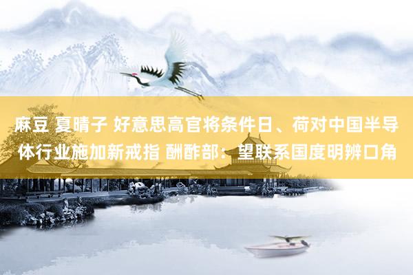 麻豆 夏晴子 好意思高官将条件日、荷对中国半导体行业施加新戒指 酬酢部：望联系国度明辨口角