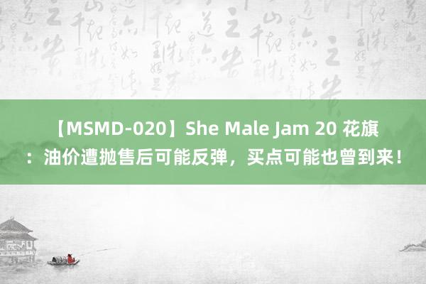 【MSMD-020】She Male Jam 20 花旗：油价遭抛售后可能反弹，买点可能也曾到来！