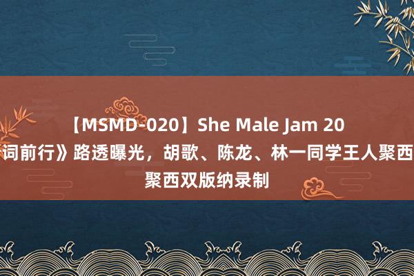 【MSMD-020】She Male Jam 20 《所有这个词前行》路透曝光，胡歌、陈龙、林一同学王人聚西双版纳录制