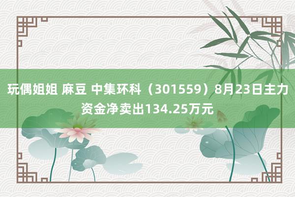 玩偶姐姐 麻豆 中集环科（301559）8月23日主力资金净卖出134.25万元