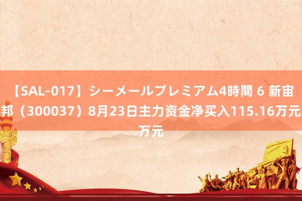 【SAL-017】シーメールプレミアム4時間 6 新宙邦（300037）8月23日主力资金净买入115.16万元