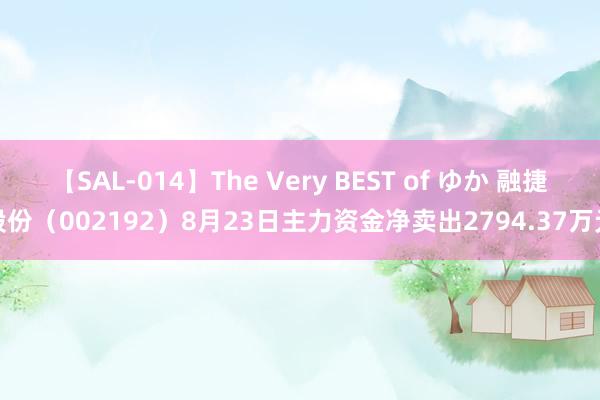 【SAL-014】The Very BEST of ゆか 融捷股份（002192）8月23日主力资金净卖出2794.37万元