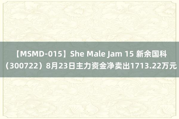 【MSMD-015】She Male Jam 15 新余国科（300722）8月23日主力资金净卖出1713.22万元