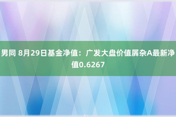 男同 8月29日基金净值：广发大盘价值羼杂A最新净值0.6267