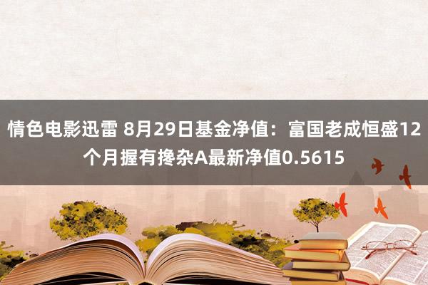 情色电影迅雷 8月29日基金净值：富国老成恒盛12个月握有搀杂A最新净值0.5615