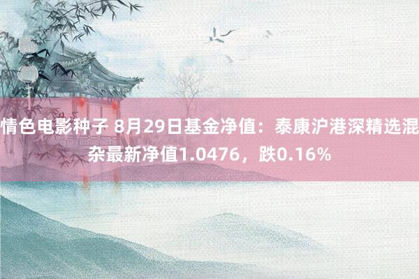 情色电影种子 8月29日基金净值：泰康沪港深精选混杂最新净值1.0476，跌0.16%