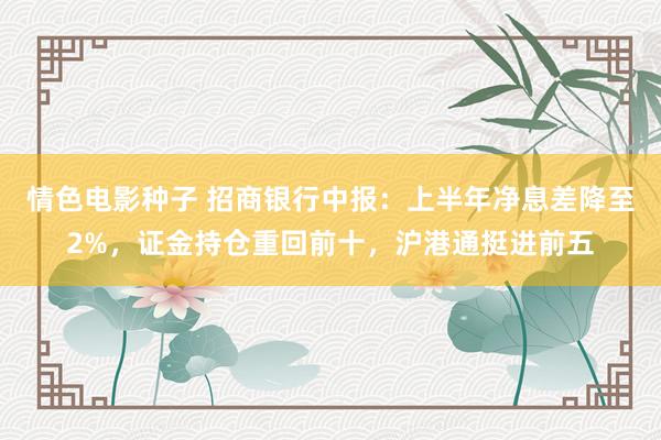 情色电影种子 招商银行中报：上半年净息差降至2%，证金持仓重回前十，沪港通挺进前五