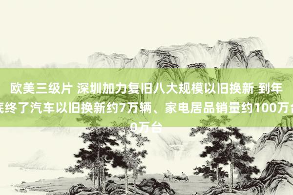 欧美三级片 深圳加力复旧八大规模以旧换新 到年底终了汽车以旧换新约7万辆、家电居品销量约100万台