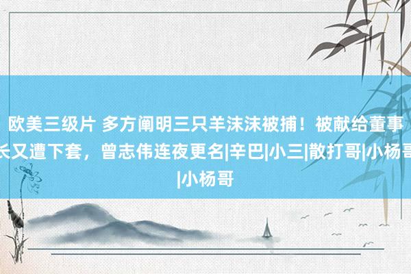 欧美三级片 多方阐明三只羊沫沫被捕！被献给董事长又遭下套，曾志伟连夜更名|辛巴|小三|散打哥|小杨哥