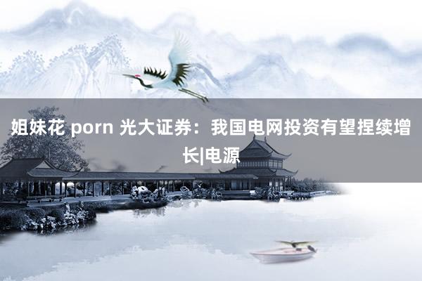 姐妹花 porn 光大证券：我国电网投资有望捏续增长|电源