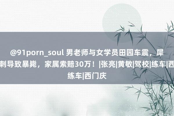 @91porn_soul 男老师与女学员田园车震，犀利冲刺导致暴毙，家属索赔30万！|张亮|黄敏|驾校|练车|西门庆