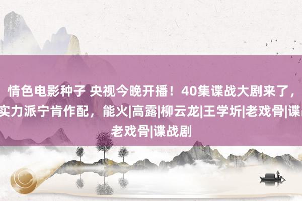 情色电影种子 央视今晚开播！40集谍战大剧来了，7位实力派宁肯作配，能火|高露|柳云龙|王学圻|老戏骨|谍战剧