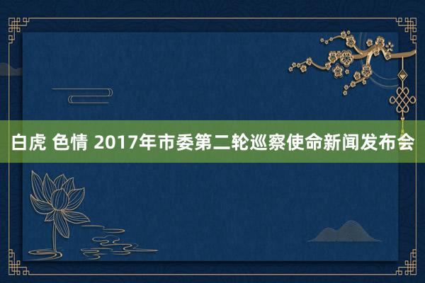 白虎 色情 2017年市委第二轮巡察使命新闻发布会