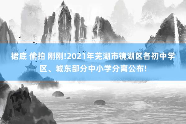 裙底 偷拍 刚刚!2021年芜湖市镜湖区各初中学区、城东部分中小学分离公布!