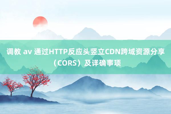 调教 av 通过HTTP反应头竖立CDN跨域资源分享（CORS）及详确事项