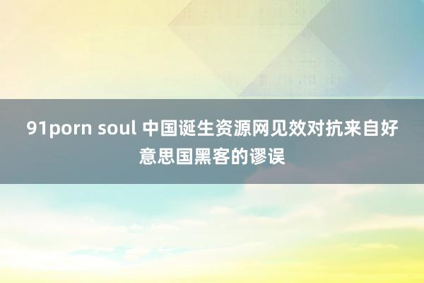 91porn soul 中国诞生资源网见效对抗来自好意思国黑客的谬误