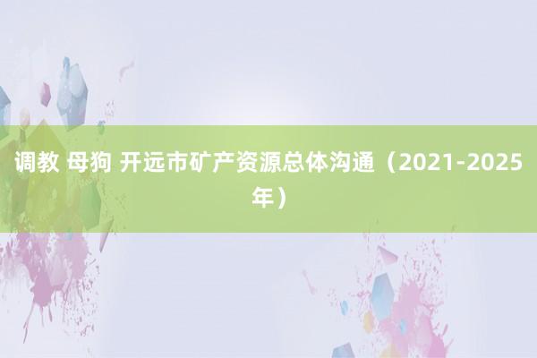 调教 母狗 开远市矿产资源总体沟通（2021-2025年）